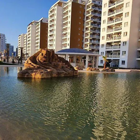 Long Beach Holiday *